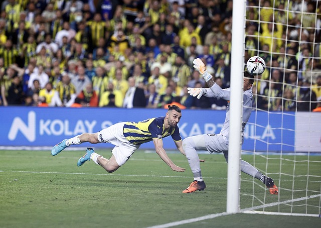 转会市场动 转会市场动