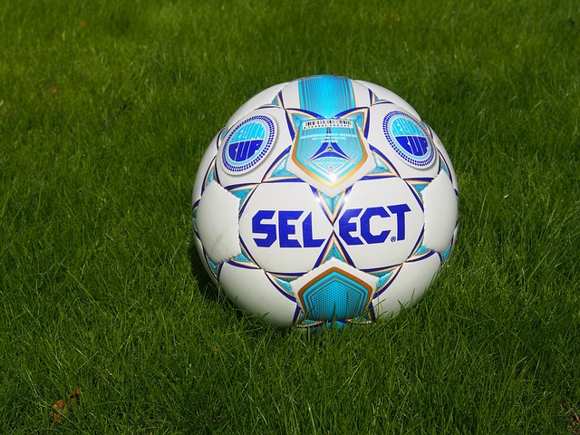 的完美战绩 的完美战绩