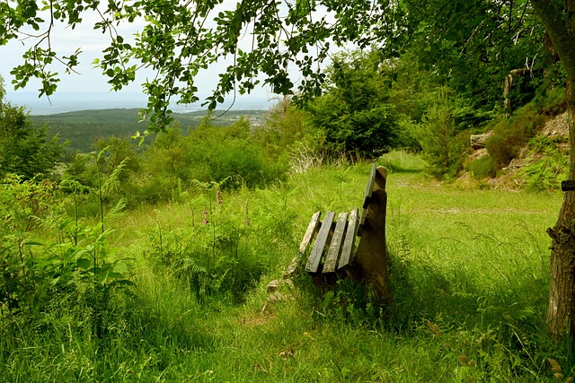 士调整进攻 士调整进攻