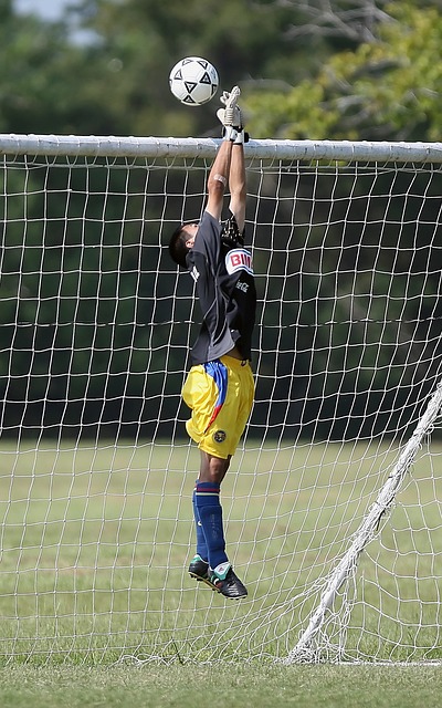 个人执行的 个人执行的